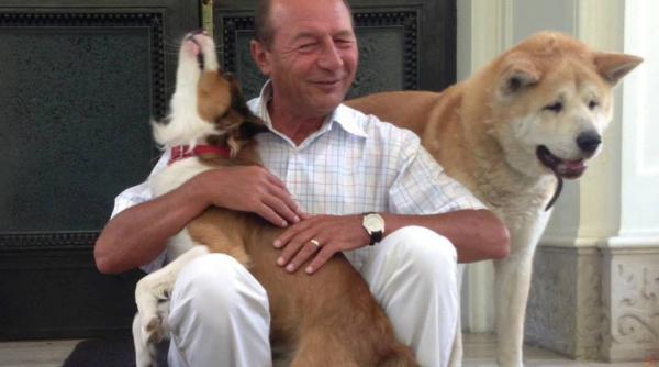 traian basescu nemul umit de casa din gogol