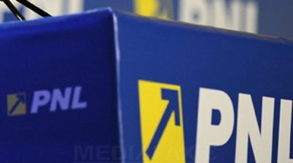 pnl i a lansat programul de guvernare vezi ce con ine