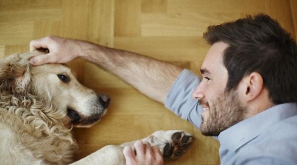 un caine sare sa i salveze stapanul de la inec video