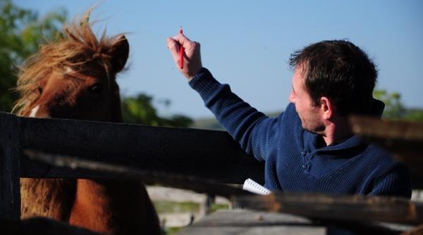 sorin iosub mutarea expozi iei 40 metafora la bacau echivalenta cu intoarcerea fiului risipitor exclusiv