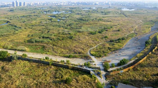 zi decisiva pentru delta vacare ti ale ii deci daca va deveni parc natural