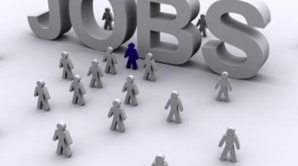 dataproject management system un proiect de succes al anofm