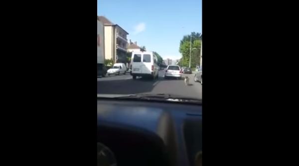 un sofer si a legat cainele de masina si l a tras prin ora