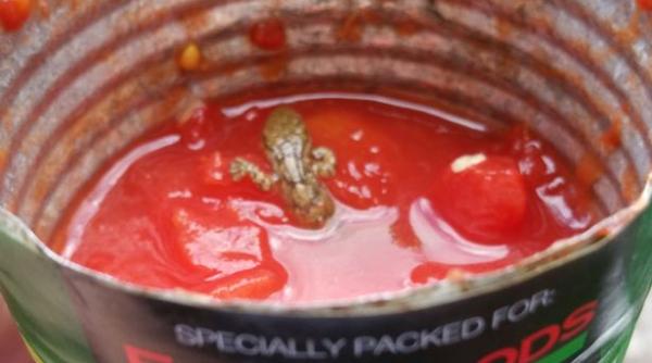 oc ce au descoperit in conserva de ro ii