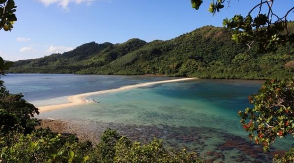 ilha da queimada grande cea mai periculoasa insula din lume