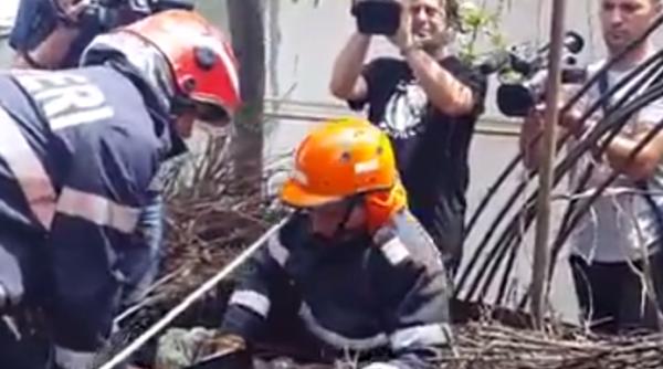 misiune mai pu in obi nuita pentru pompieri cine este norocel video