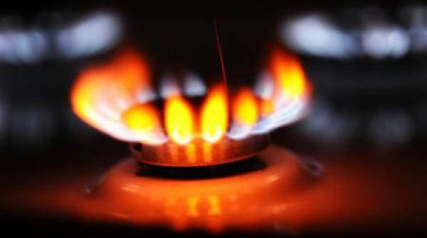 pre ul gazelor pentru clien ii casnici va cre te la 60 lei mwh de la 1 iulie proiect