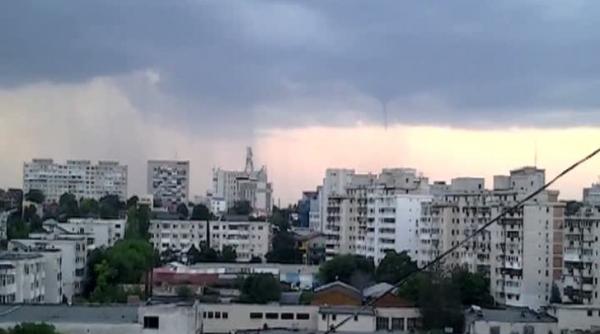 fenomen neobi nuit la gala i