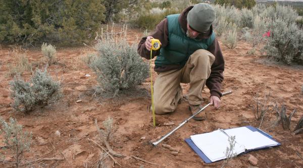 descoperire importanta in romania dateaza din secolul ii iii