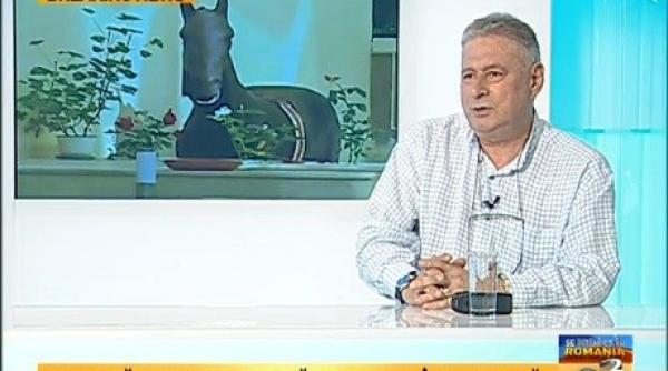 madalin voicu dezlan uit dupa ce traian basescu a dus un cal la vila din gogol