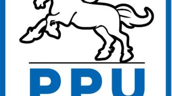 demisie in bloc din partidul conservator