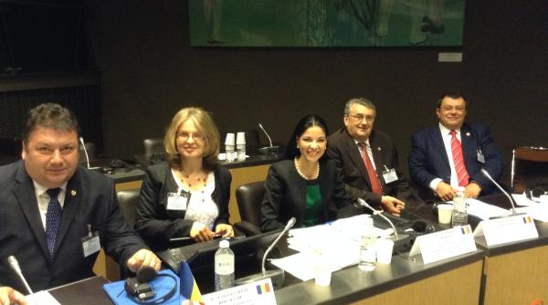 ana birchall romania sus ine parteneriatul transatlantic pentru comer i investi ii