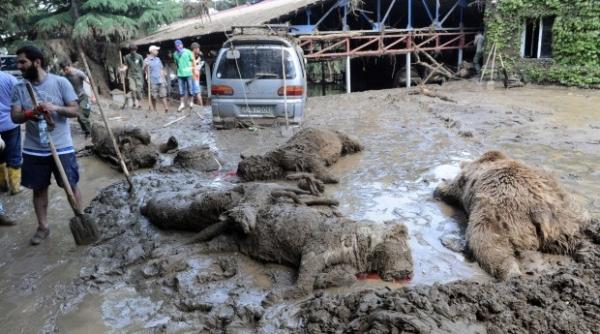 explica ie halucinanta pentru inunda iile din georgia