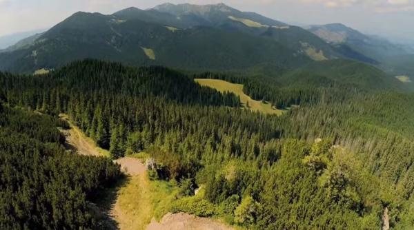 splendoarea mun ilor calimani filmata cu drona video