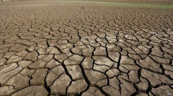 studii pamantul a intrat intr o noua perioada de dispari ie oamenii printre primele victime