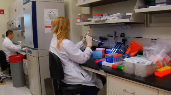 cercetatorii au inventat cipurile de silicon care inlocuiesc organele umane video