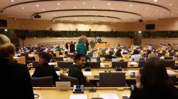 monica macovei atac la victor ponta in parlamentul european dispretuieste justitia si se ascunde in spatele imunitatii parlamentare