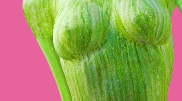 dan cretu fotograful care uime te cu operele sale din fructe i legume