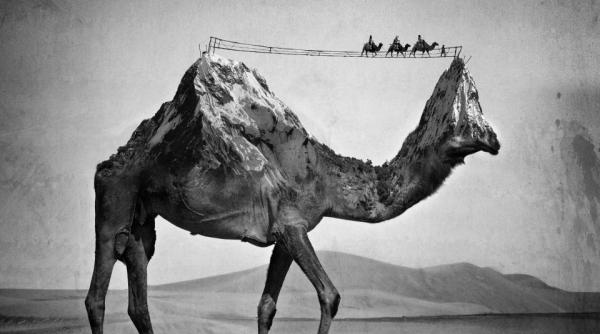 imagini senza ionale posibile numai in vise galerie foto