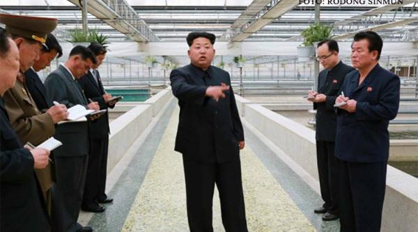 managerul unei ferme de broa te estoase executat dupa vizita lui kim jong un