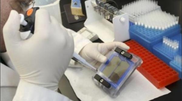 coreea de nord ar putea fi suspectata de experimente umane