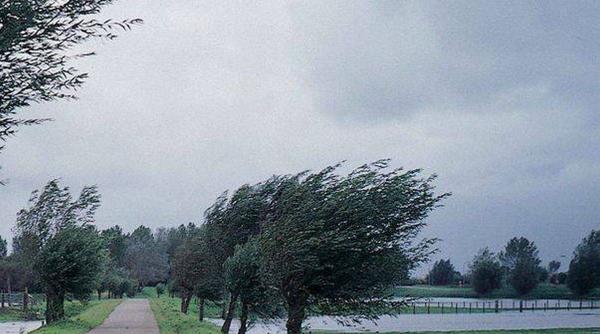 cod galben pentru trei jude e vreme severa imediata