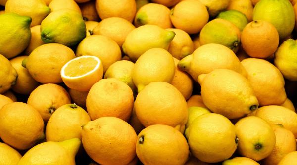 descoperire ocanta pe eticheta unei lamanii