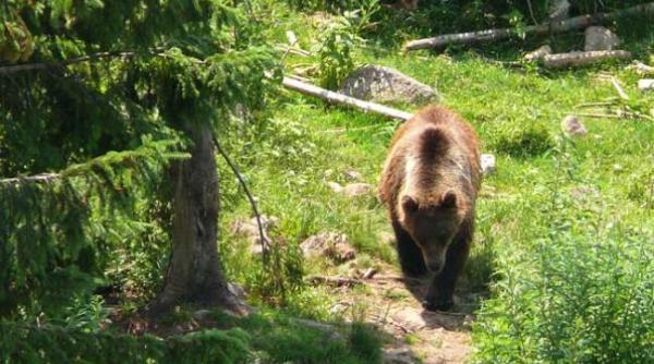 un senator udmr declara razboi ur ilor