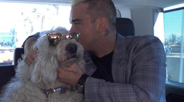 cainele lui robbie williams tratat rege te detalii incredibile