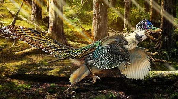 descoperire senza ionala in china cercetatorii sunt uimi i