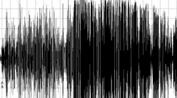 cutremur in romania duminica seara ce magnitudine a avut