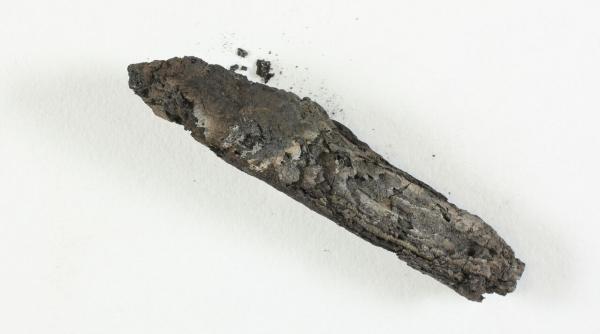 veste senza ionala despre un pergament ars vechi de 1 500 de ani descoperit la ein gedi in 1970