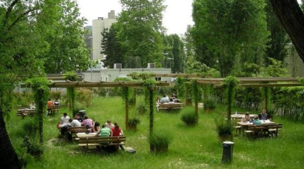 prima gradina din car i in bucure ti program in weekend