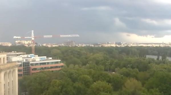 cod galben de furtuni vezi zonele afectate