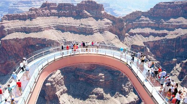 dna acuzatii devastatoare pentru medicii oncologi