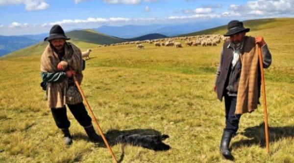 bancul zilei la nevoie ion il ajuta pe gheorghe