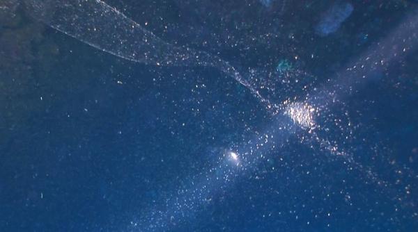 descoperire in apropierea coastelor turciei exper ii cauta explica ii