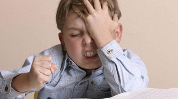 varianta finala a structurii anului scolar 2015 2016 vacan a de vara mai scurta