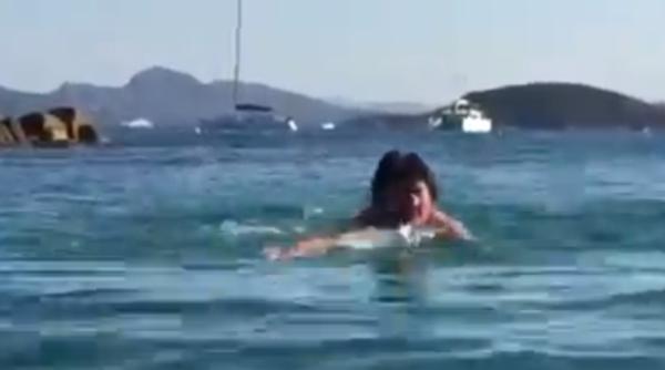 nicolae robu cadou pentru alegatori din concediu video