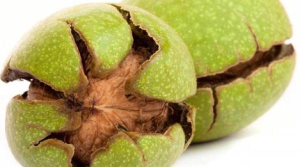 coaja verde de nuc efecte miraculoase pentru afec iuni ale stomacului