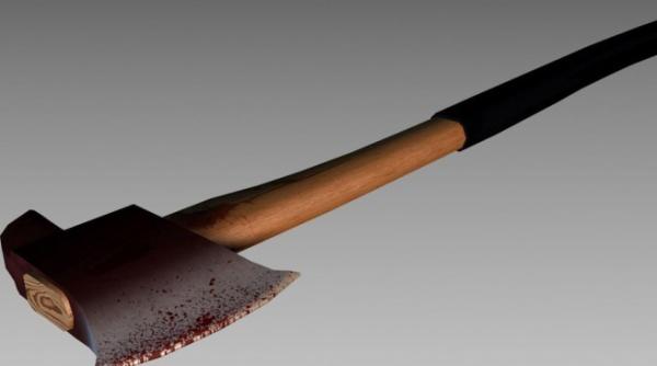 crima ingrozitoare in neam i a omorat fratele geaman