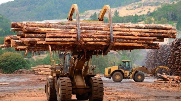 lovitura grea primita de holzindustrie schweighofer in austria din cauza situa iei din romania