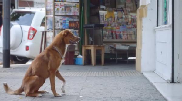 video emo ionant final tulburator