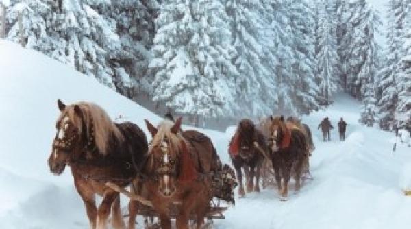 apa bucovina cumparata de polonezi