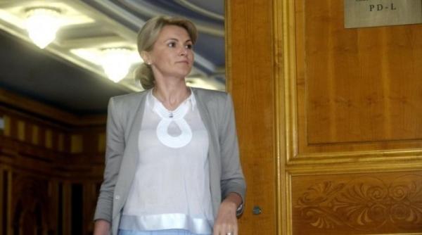 andreea paul pnl nu cred ca se va intampla ceea ce promite premierul ponta