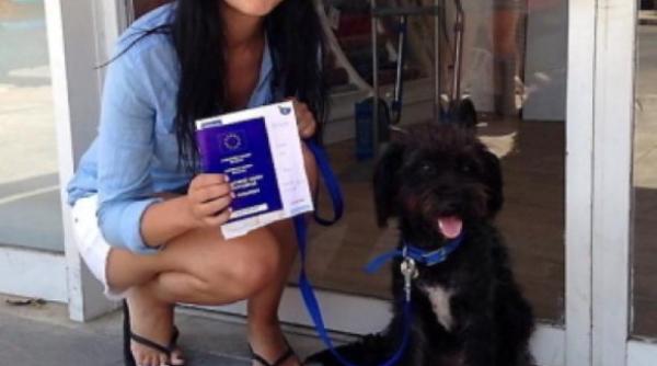 povestea impresionanta a unei studente salvata de la viol de o ca elu a