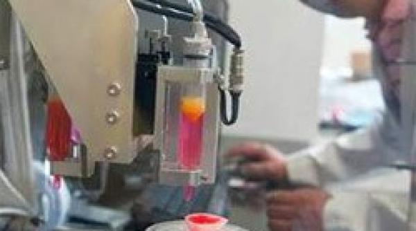 proiectul nebun la japonezilor ce vor sa faca