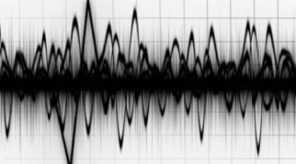 cutremur in buzau ce magnitudine a avut seismul