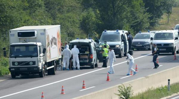 mae camionul abandonat in austria numere de inmatriculare ungare provizorii