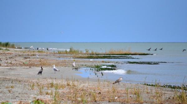 insula sacalin cel mai nou teritoriu al romaniei de o frumuse e rara accesul interzis